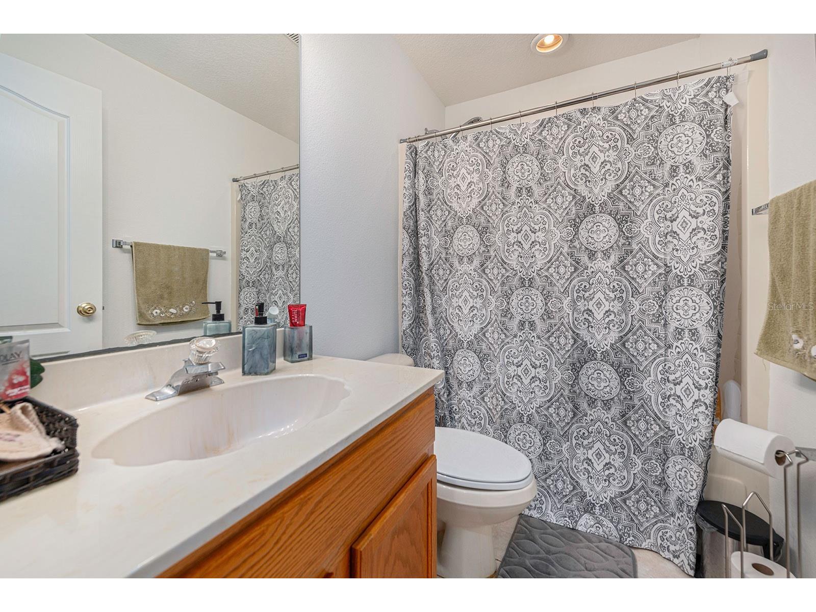 2902 Billingham Drive Land O Lakes FL 34639 TB8495026 image26