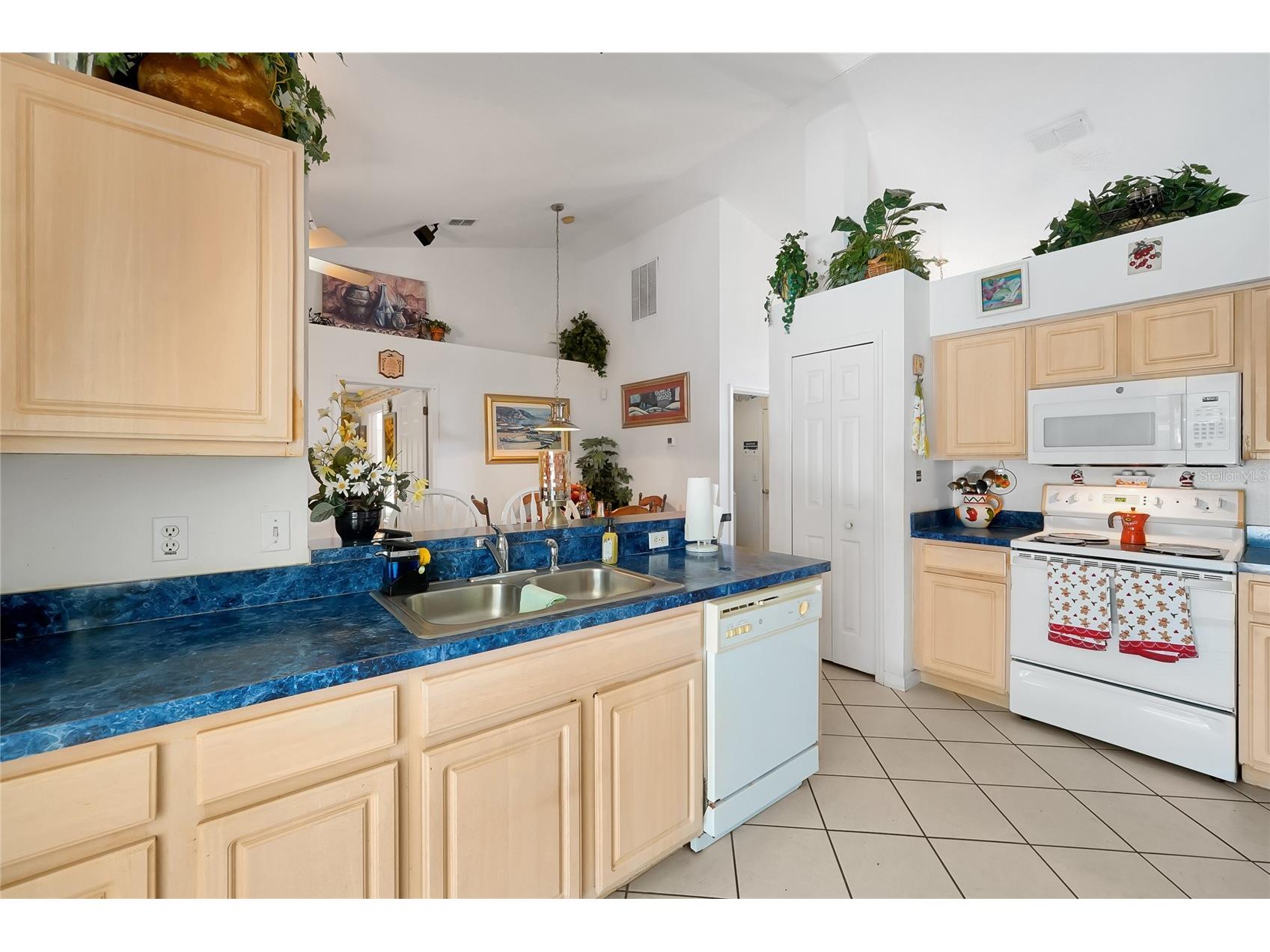 2902 Evans Way Kissimmee FL 34758 S5142233 image11