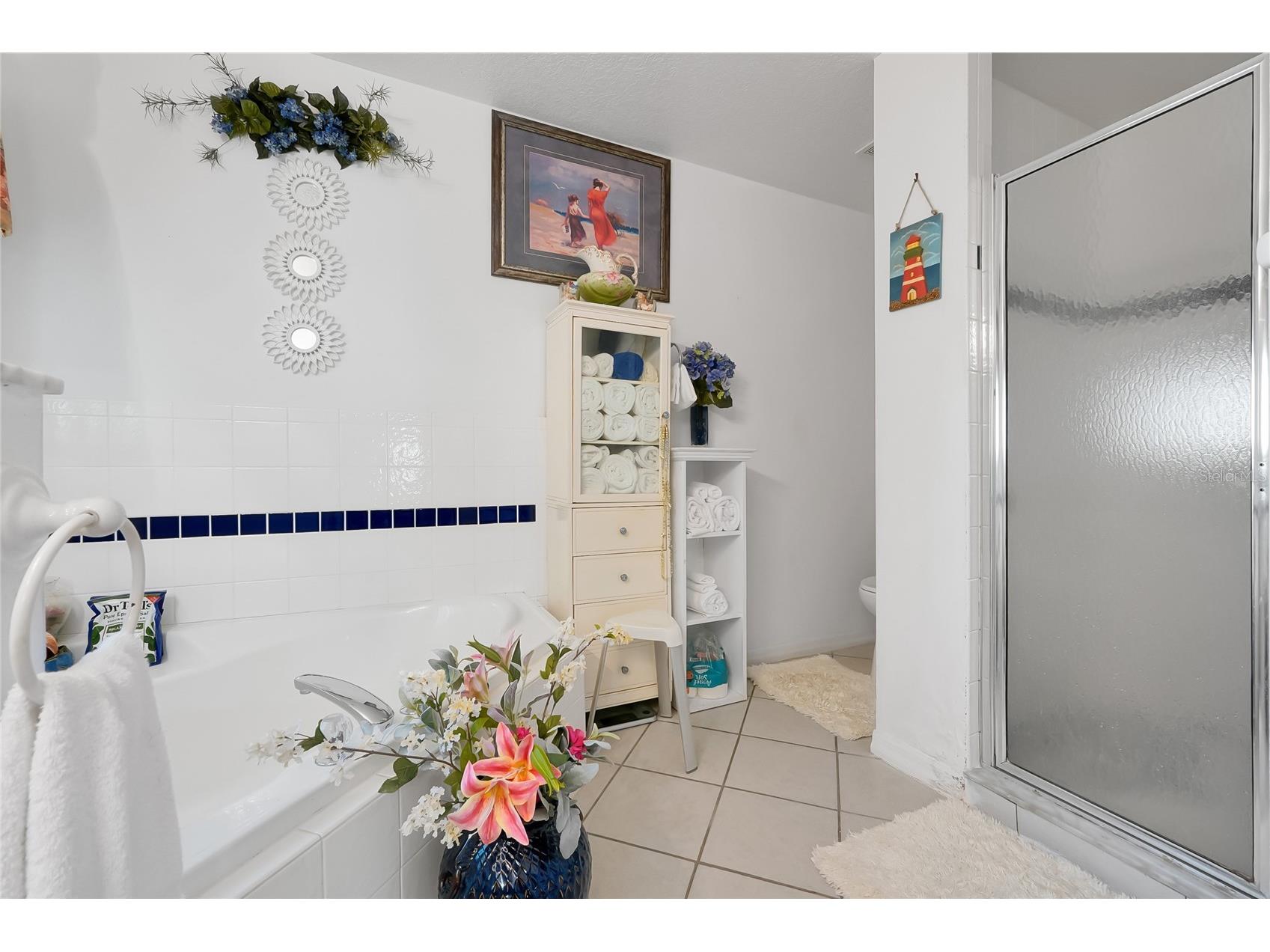 2902 Evans Way Kissimmee FL 34758 S5142233 image20