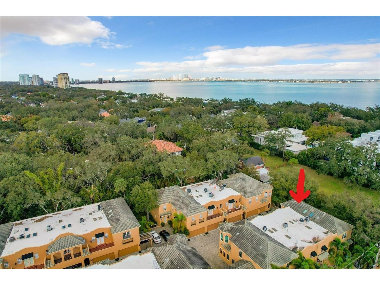2902 Hansen Manor Lane Tampa FL 33611 TB8520021 image1