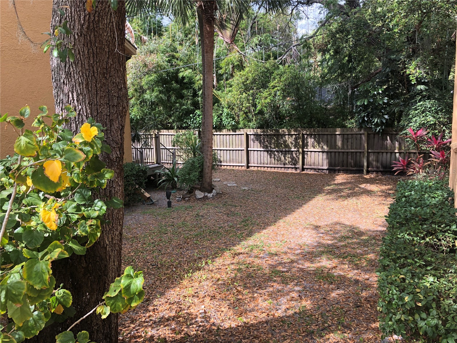 2902 Hansen Manor Lane Tampa FL 33611 TB8520021 image19