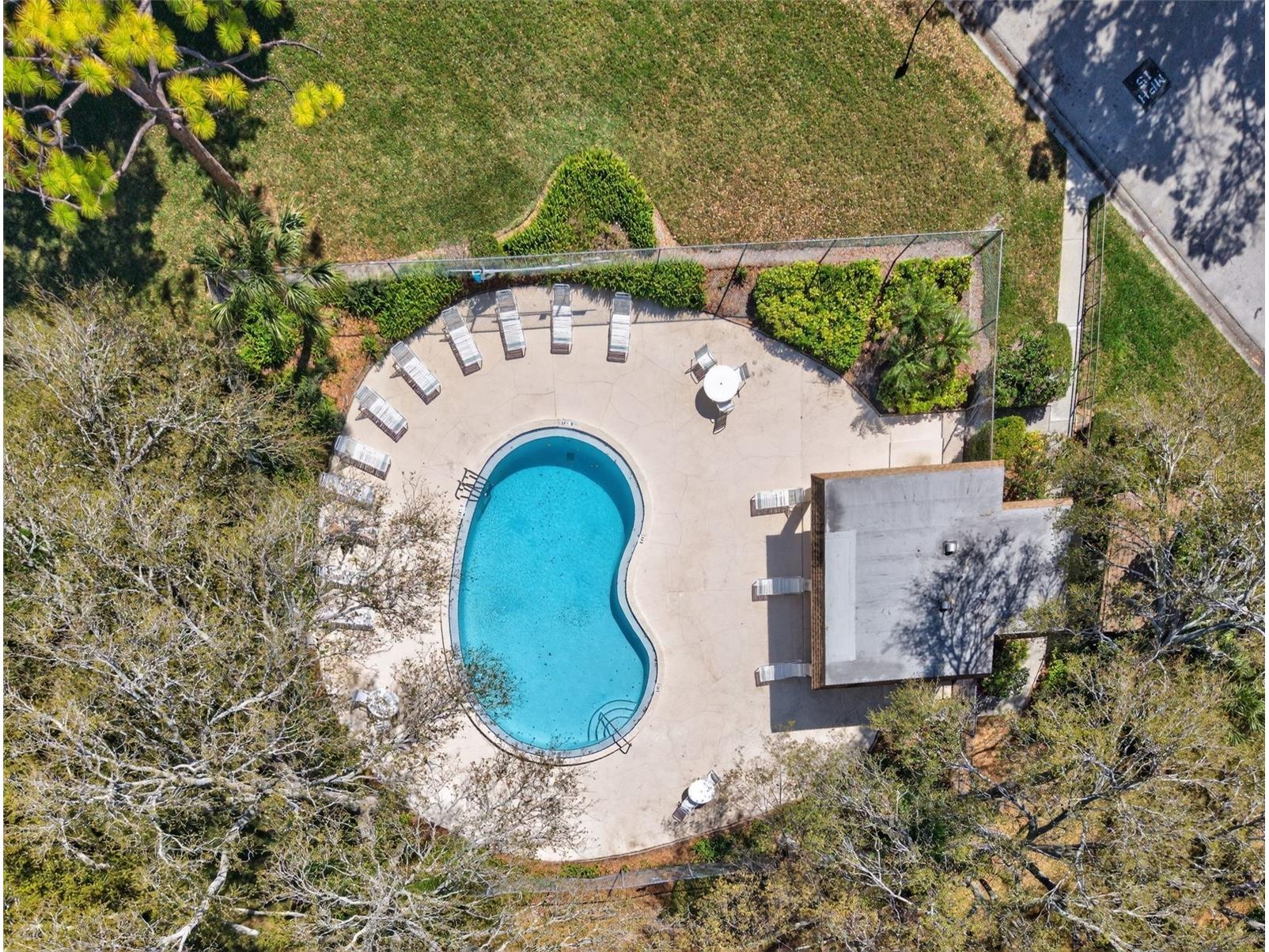 2902 Lichen Lane #D Clearwater FL 33760 TB8474747 image2