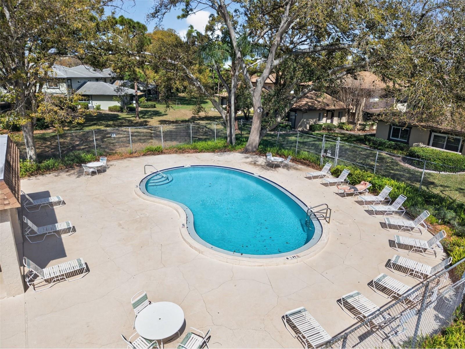 2902 Lichen Lane #D Clearwater FL 33760 TB8474747 image31