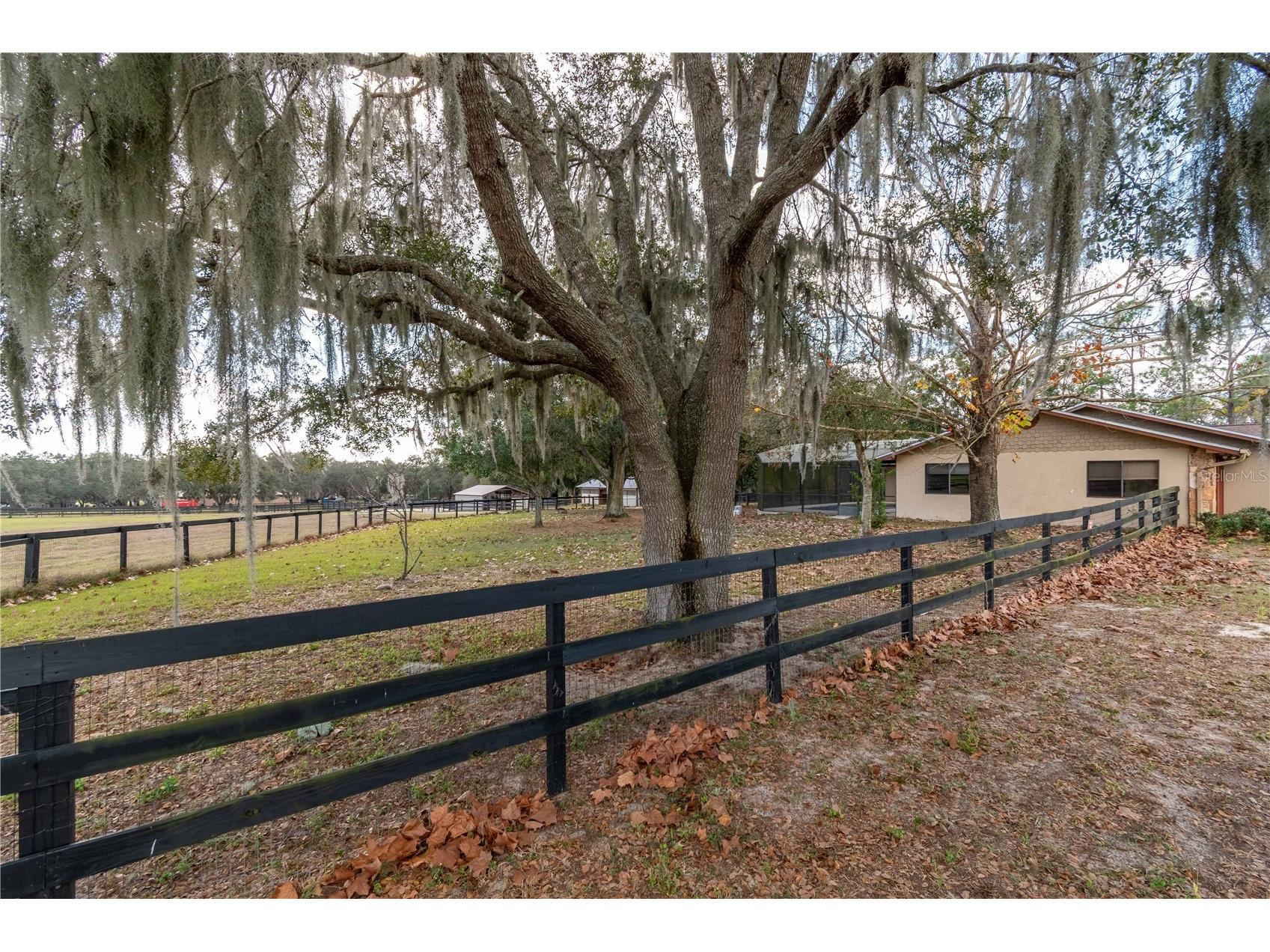 2902 Marion County Road Weirsdale FL 32195 OM715549 image59