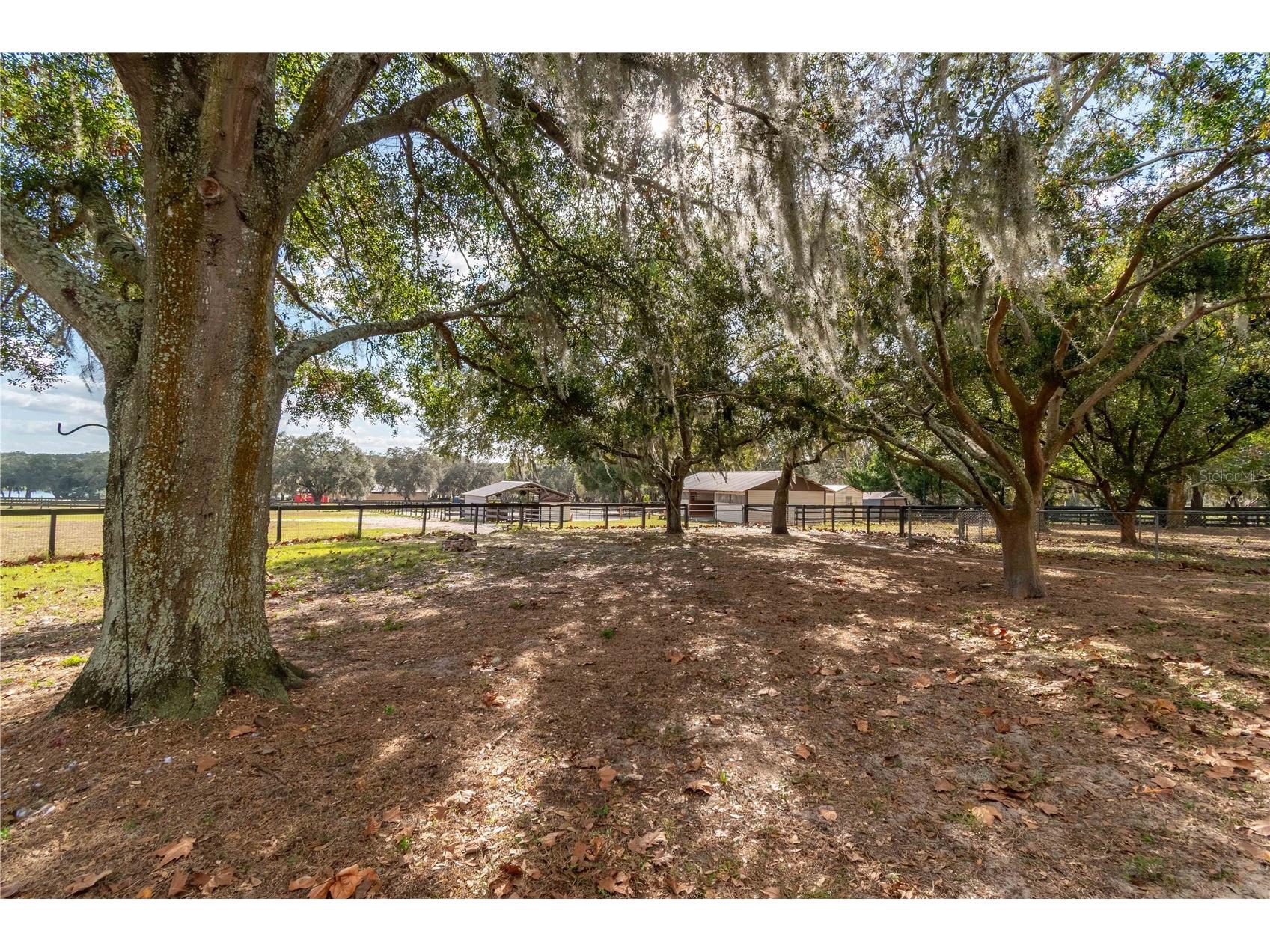 2902 Marion County Road Weirsdale FL 32195 OM715549 image61