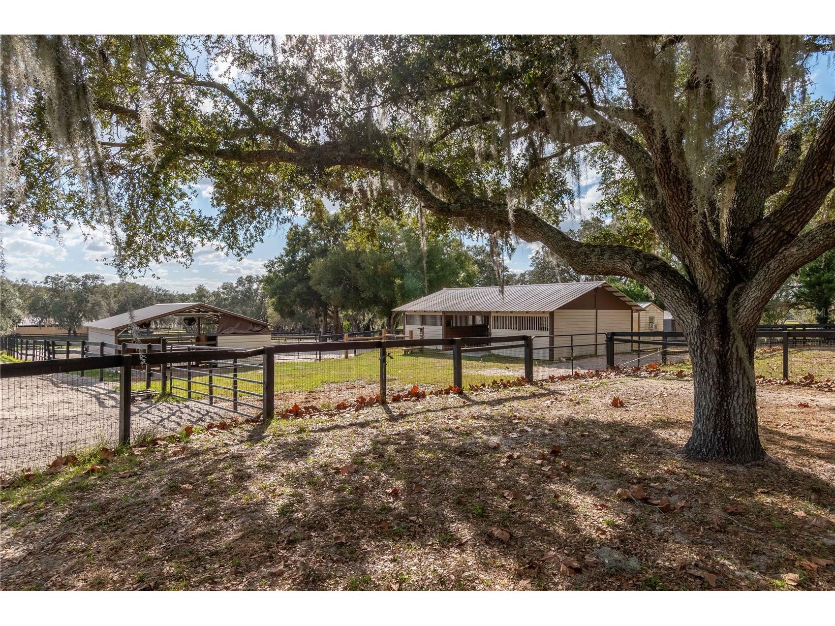 2902 Marion County Road Weirsdale FL 32195 OM715549 image62