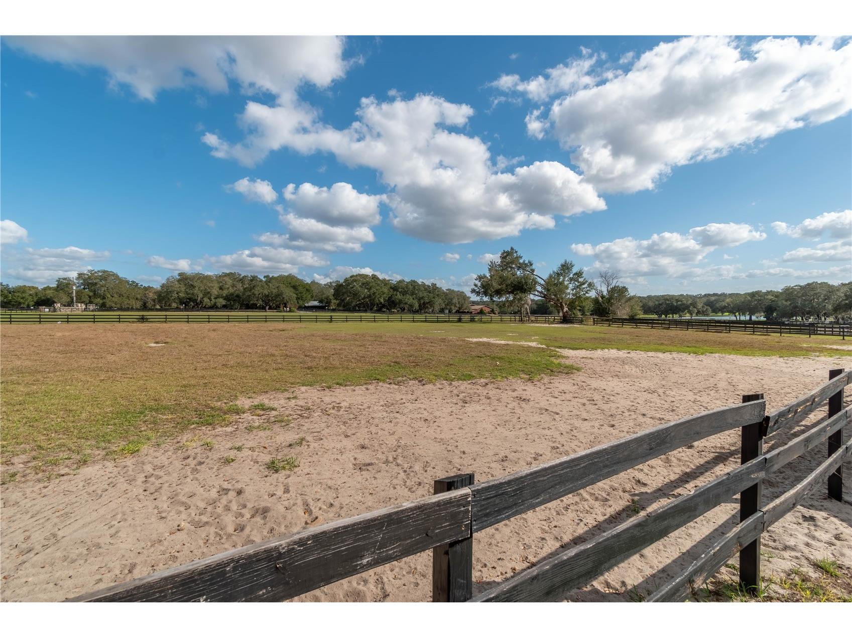 2902 Marion County Road Weirsdale FL 32195 OM715549 image72