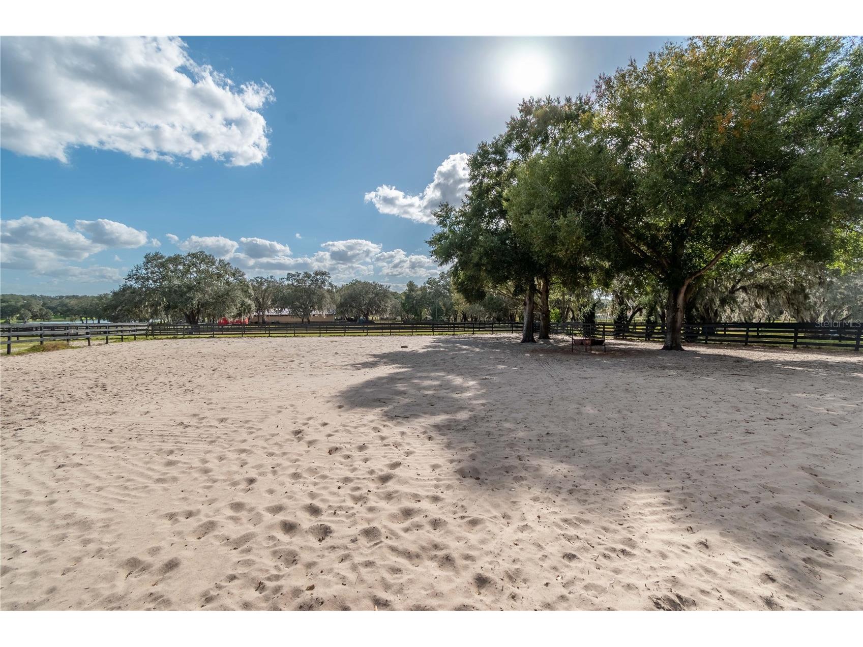 2902 Marion County Road Weirsdale FL 32195 OM715549 image73