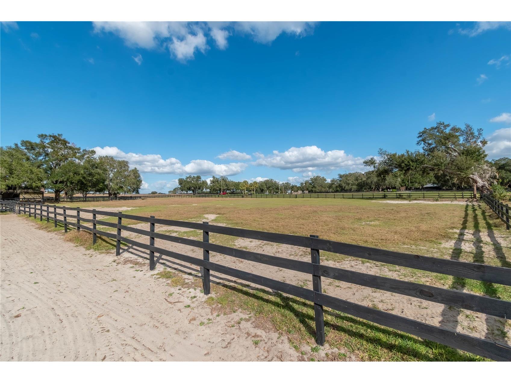 2902 Marion County Road Weirsdale FL 32195 OM715549 image76