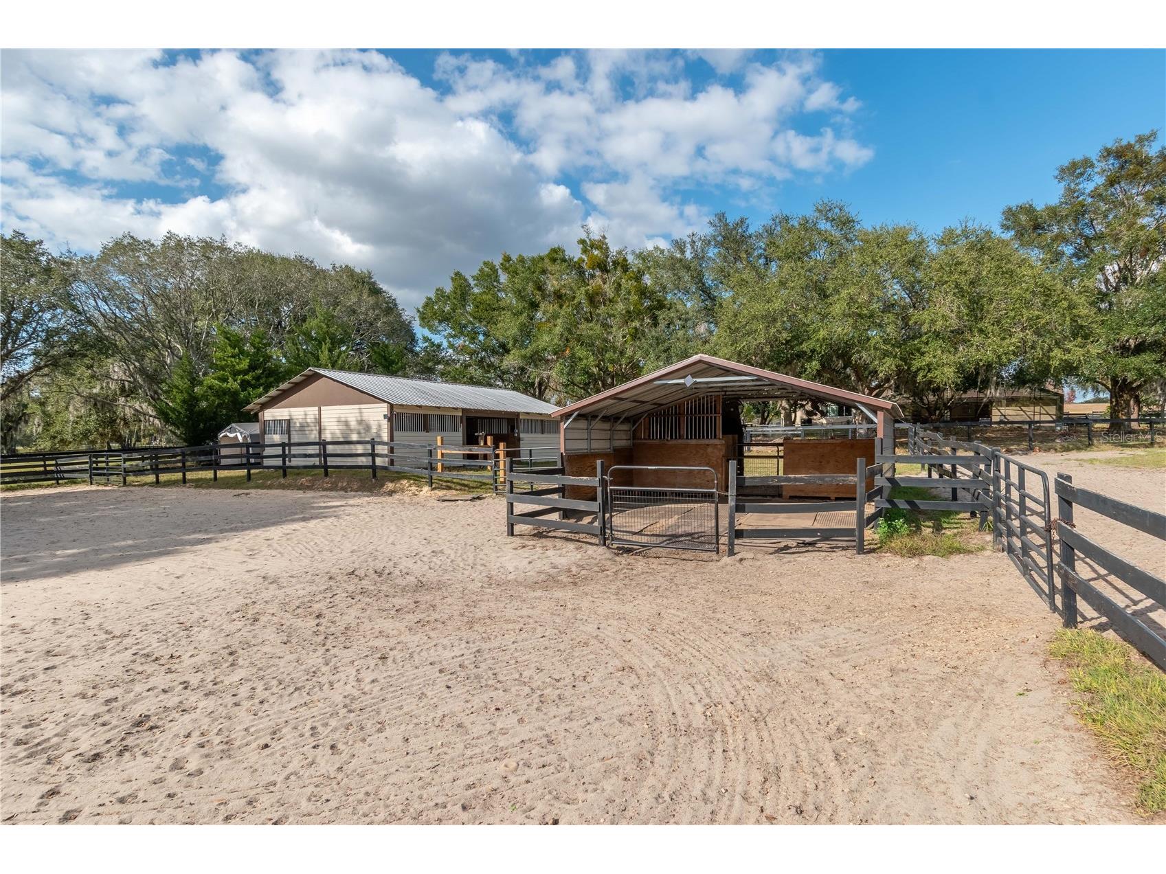 2902 Marion County Road Weirsdale FL 32195 OM715549 image78