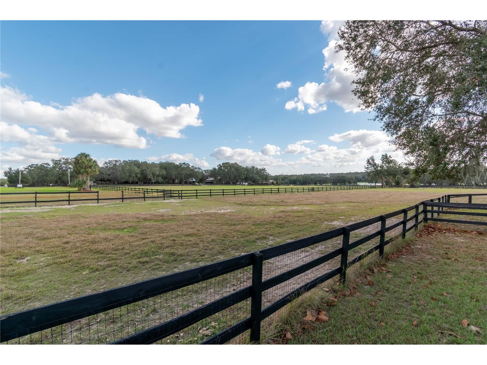 2902 Marion County Road Weirsdale FL 32195 OM715549 image79