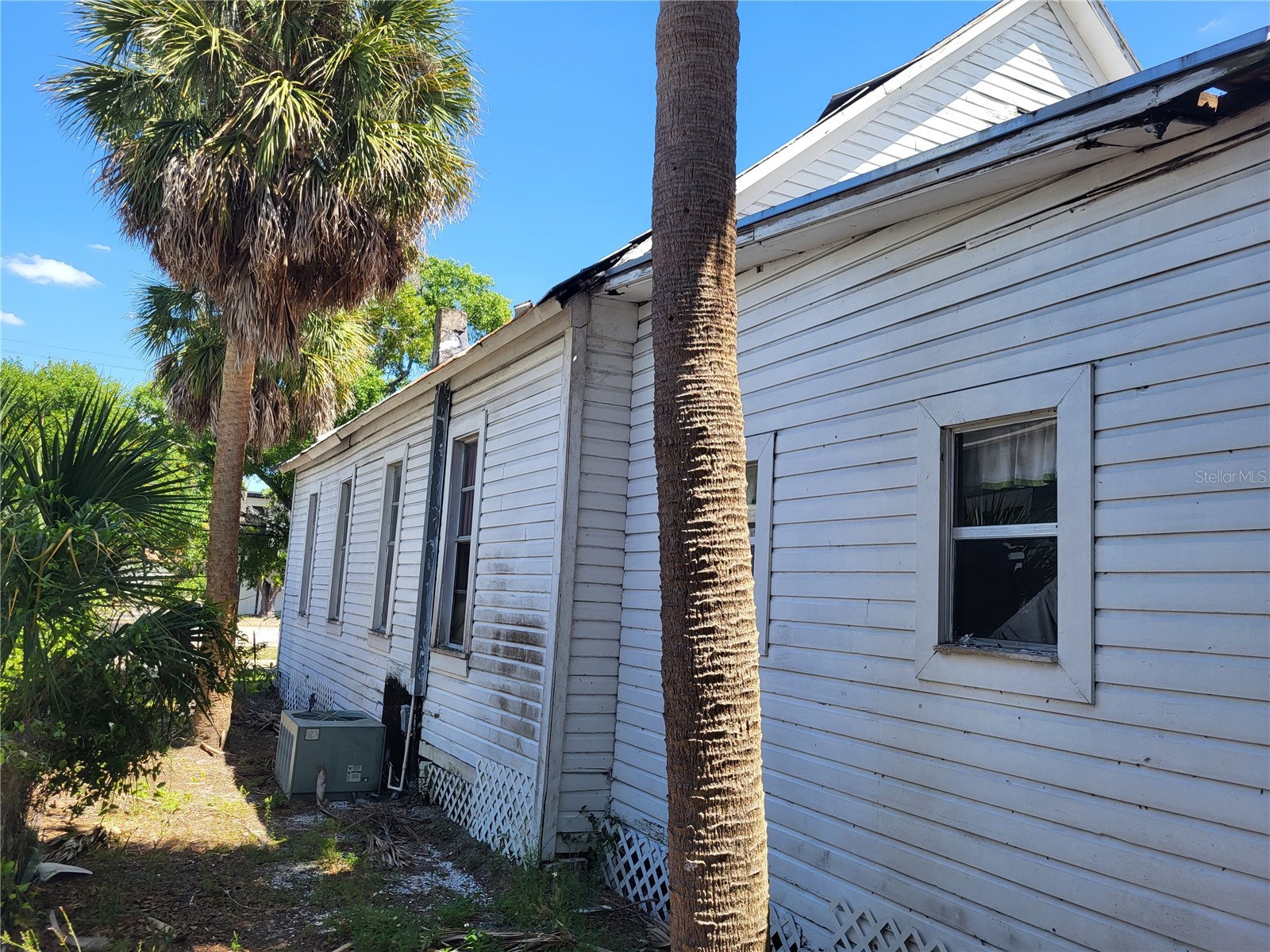 2902 N Albany Avenue Tampa FL 33607 W7885816 image2