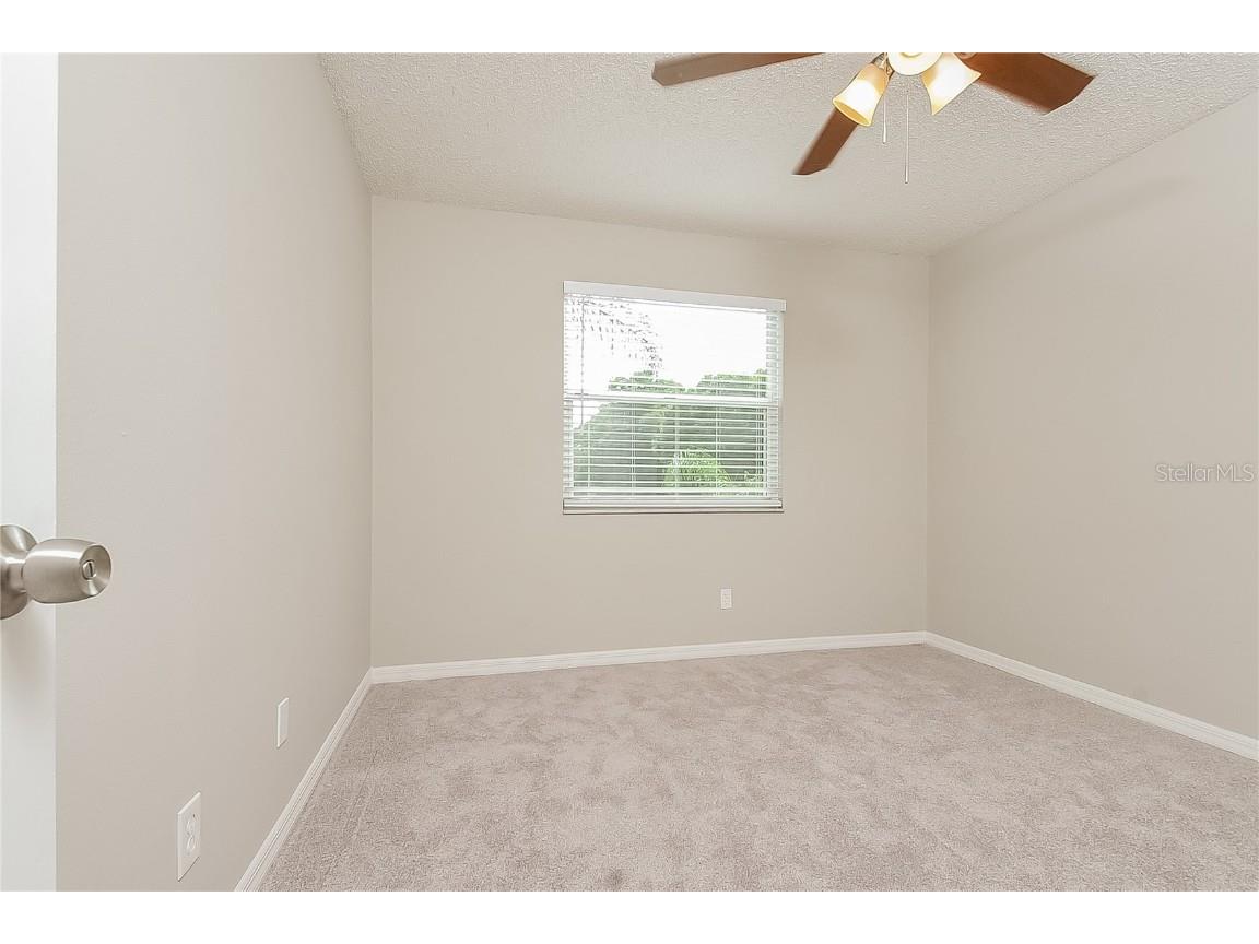 2902 Ripplewood Drive Seffner FL 33584 O6358498 image12