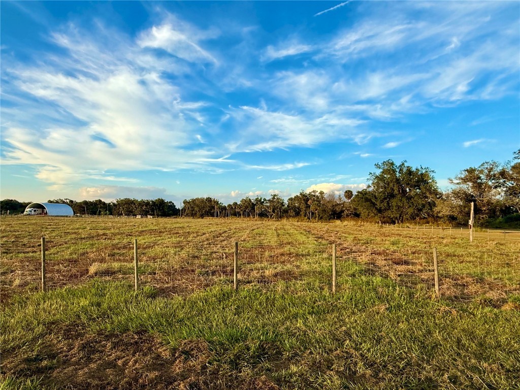 2902 SE Piggyback Road Arcadia FL 34266 A4673434 image2