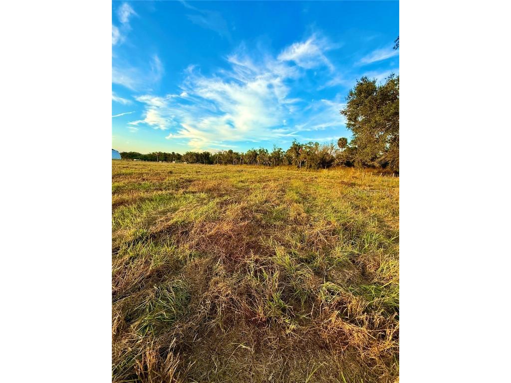2902 SE Piggyback Road Arcadia FL 34266 A4673434 image3