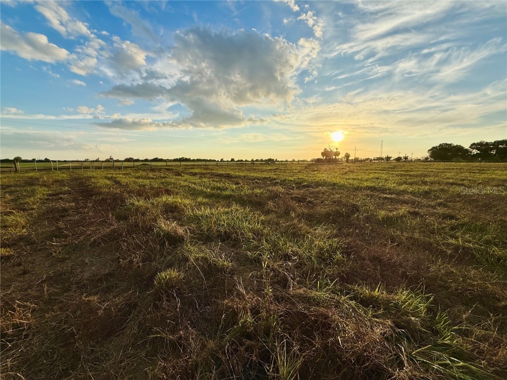 2902 SE Piggyback Road Arcadia FL 34266 A4673434 image4
