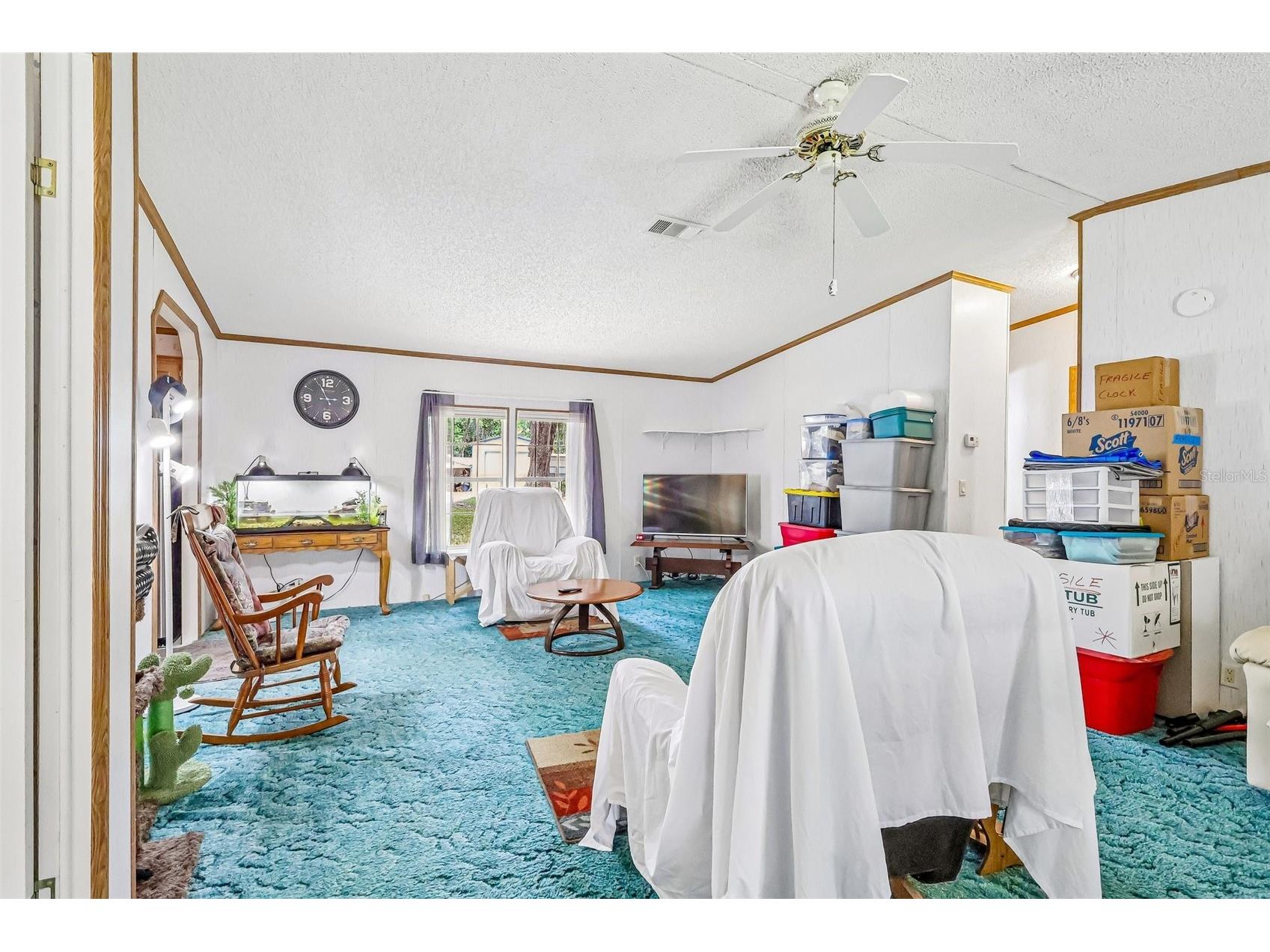 2903 Cr 426e Lake Panasoffkee FL 33538 G5112481 image12