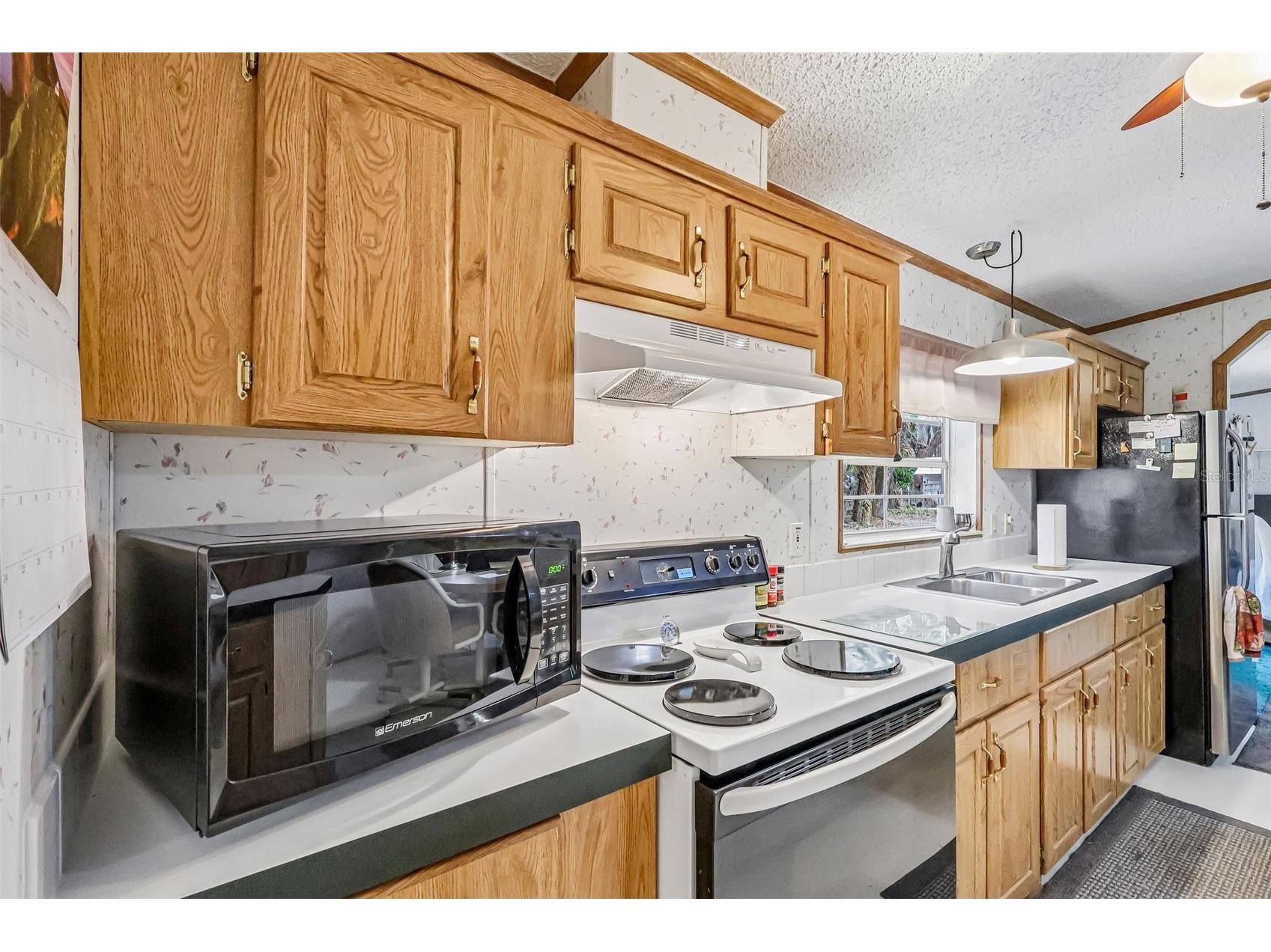 2903 Cr 426e Lake Panasoffkee FL 33538 G5112481 image20