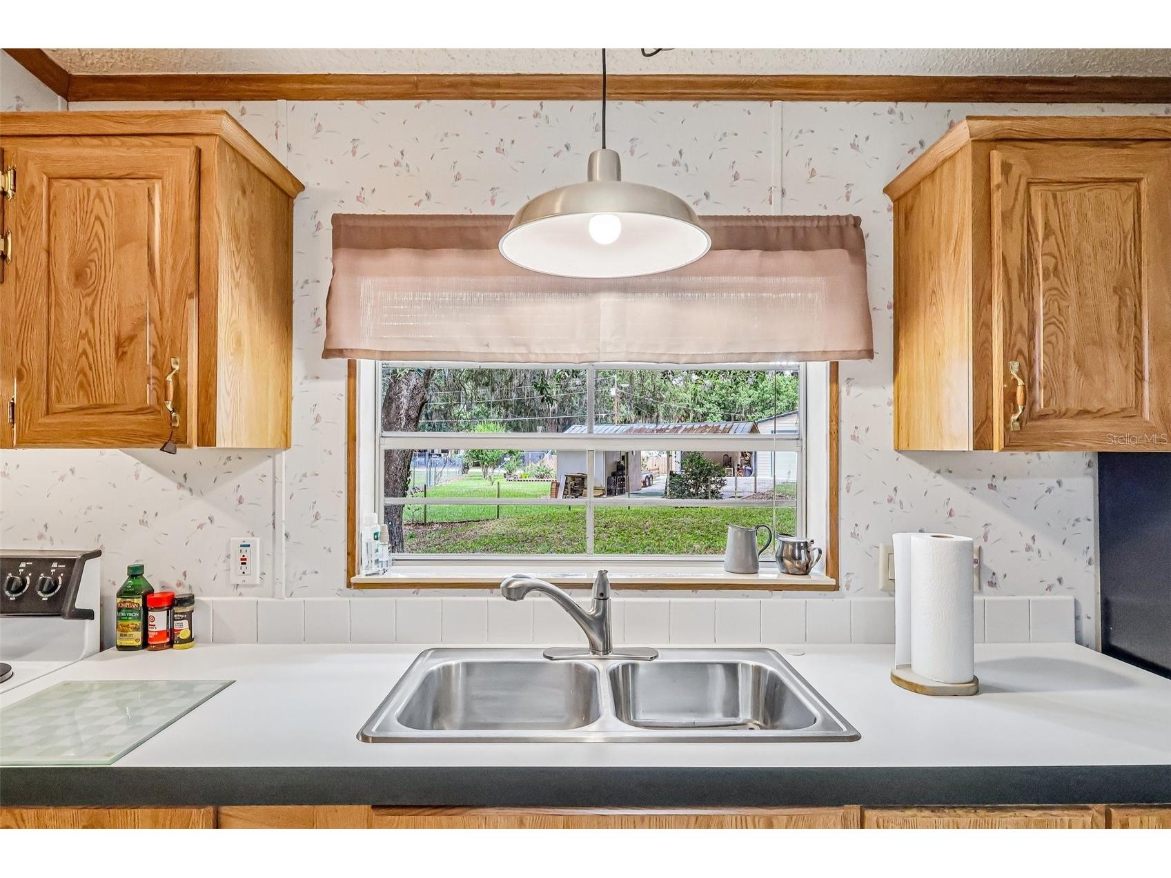 2903 Cr 426e Lake Panasoffkee FL 33538 G5112481 image23