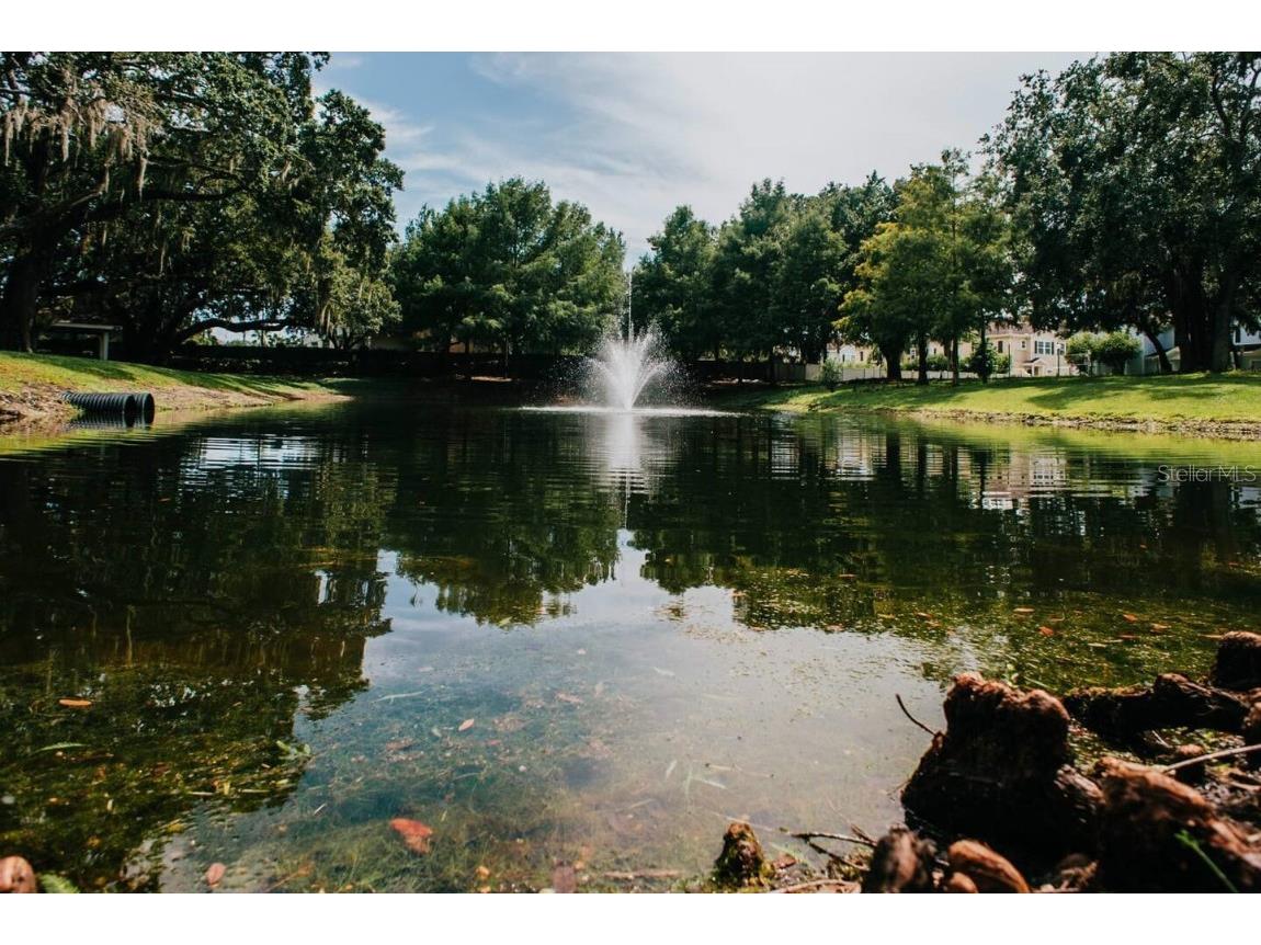 2903 Edenshire Way #102 Kissimmee FL 34746 O6337603 image25