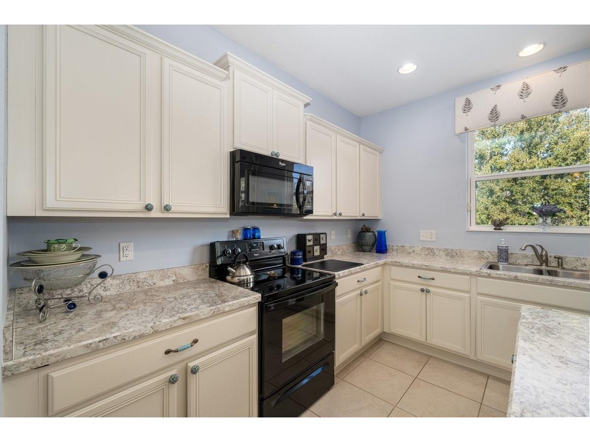 2903 Etowah Park Boulevard Tavares FL 32778 G5107767 image2