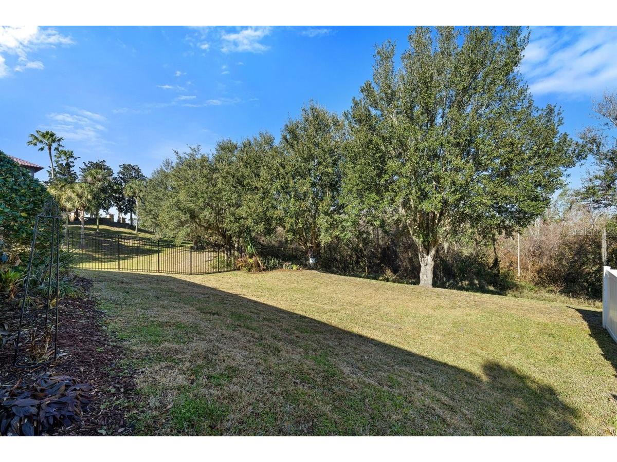 2903 Etowah Park Boulevard Tavares FL 32778 G5107767 image25