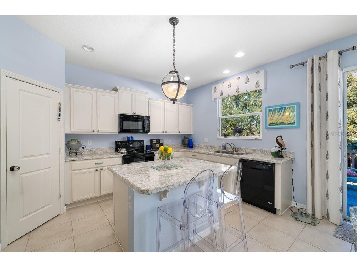 2903 Etowah Park Boulevard Tavares FL 32778 G5107767 image3