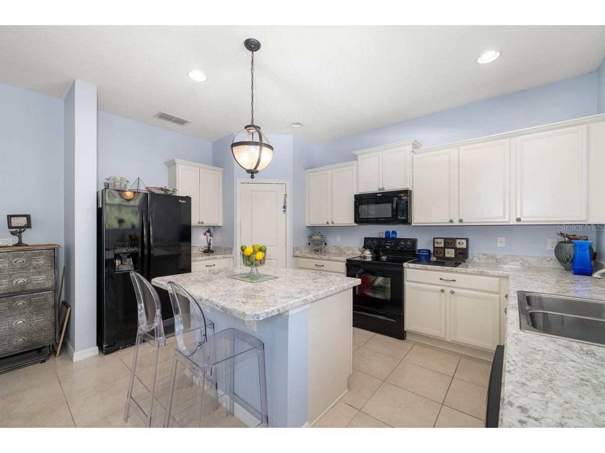 2903 Etowah Park Boulevard Tavares FL 32778 G5107767 image5