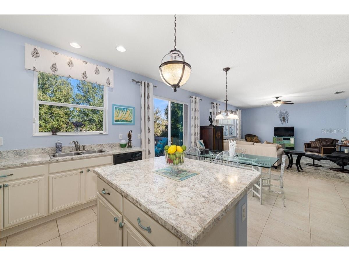 2903 Etowah Park Boulevard Tavares FL 32778 G5107767 image6