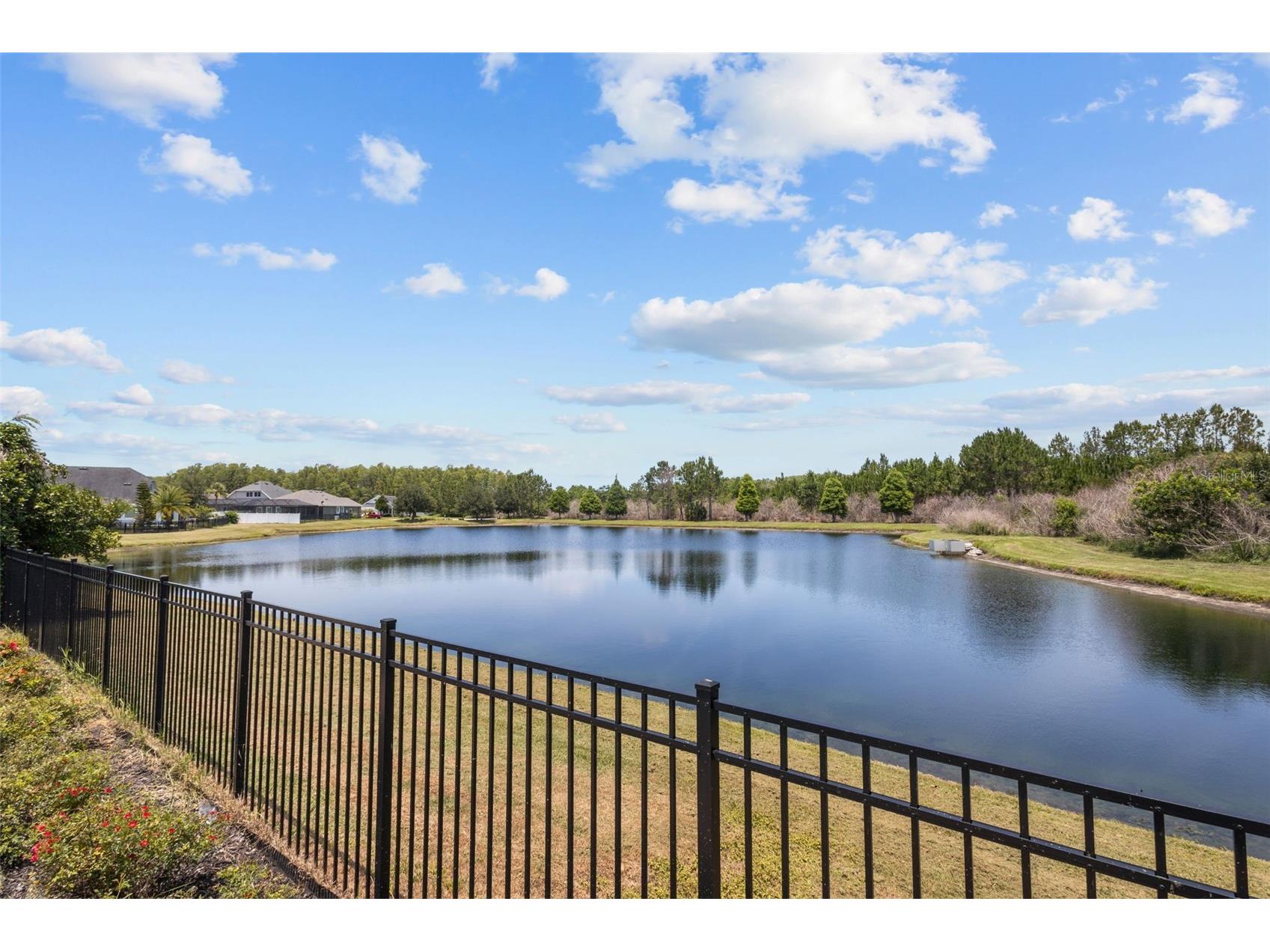 2903 Long Bow Way Odessa FL 33556 TB8512242 image5