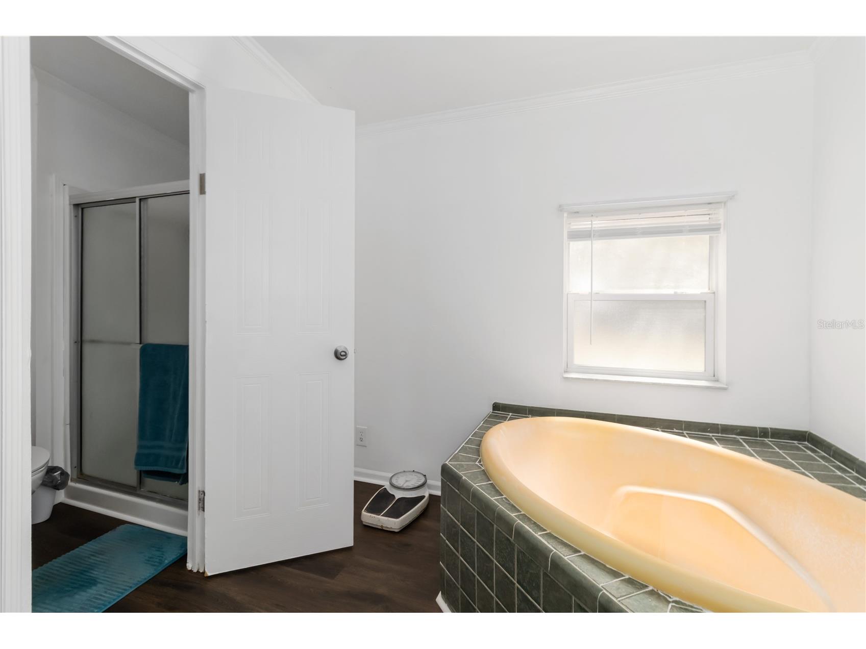 2903 Pritcher Manor Court Lithia FL 33547 TB8485083 image18