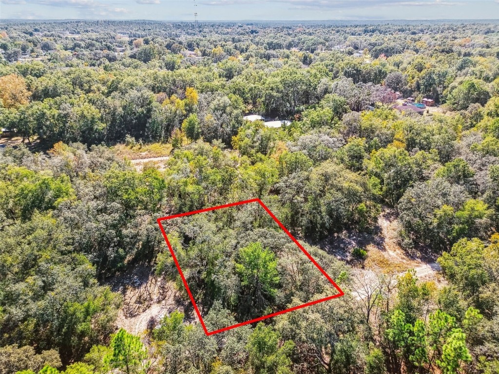 2903 Tyler Street Inverness FL 34453 O6360166 image1