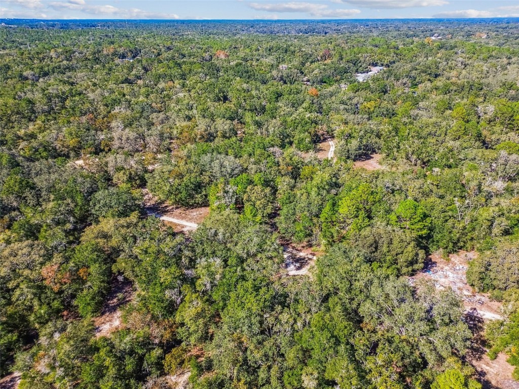 2903 Tyler Street Inverness FL 34453 O6360166 image10