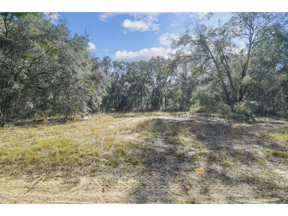 2903 Tyler Street Inverness FL 34453 O6360166 image4