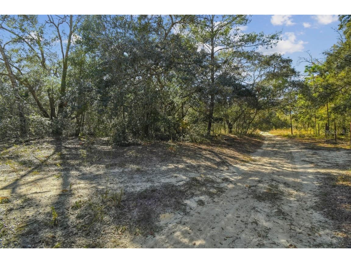 2903 Tyler Street Inverness FL 34453 O6360166 image5