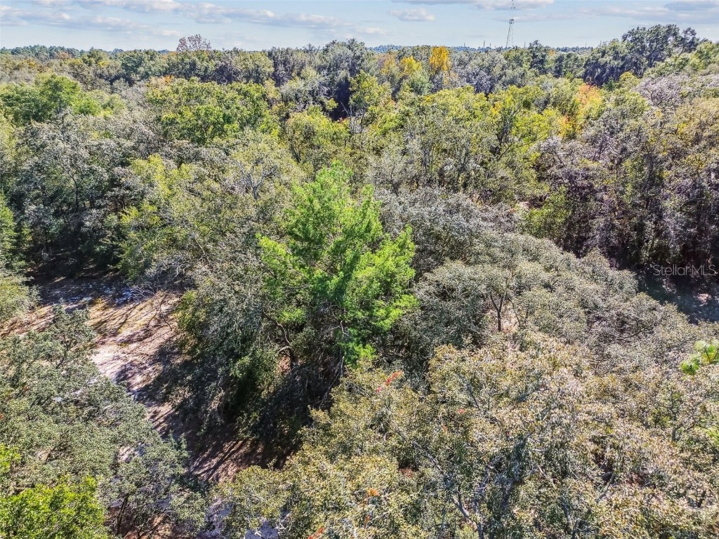 2903 Tyler Street Inverness FL 34453 O6360166 image6