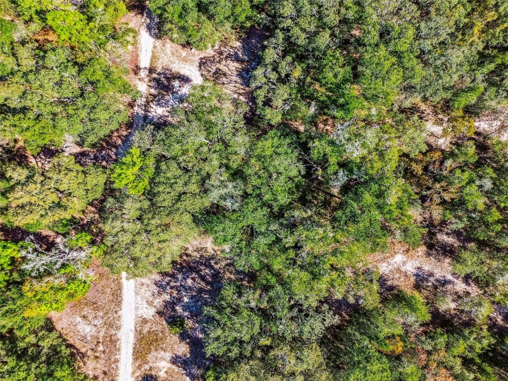 2903 Tyler Street Inverness FL 34453 O6360166 image8