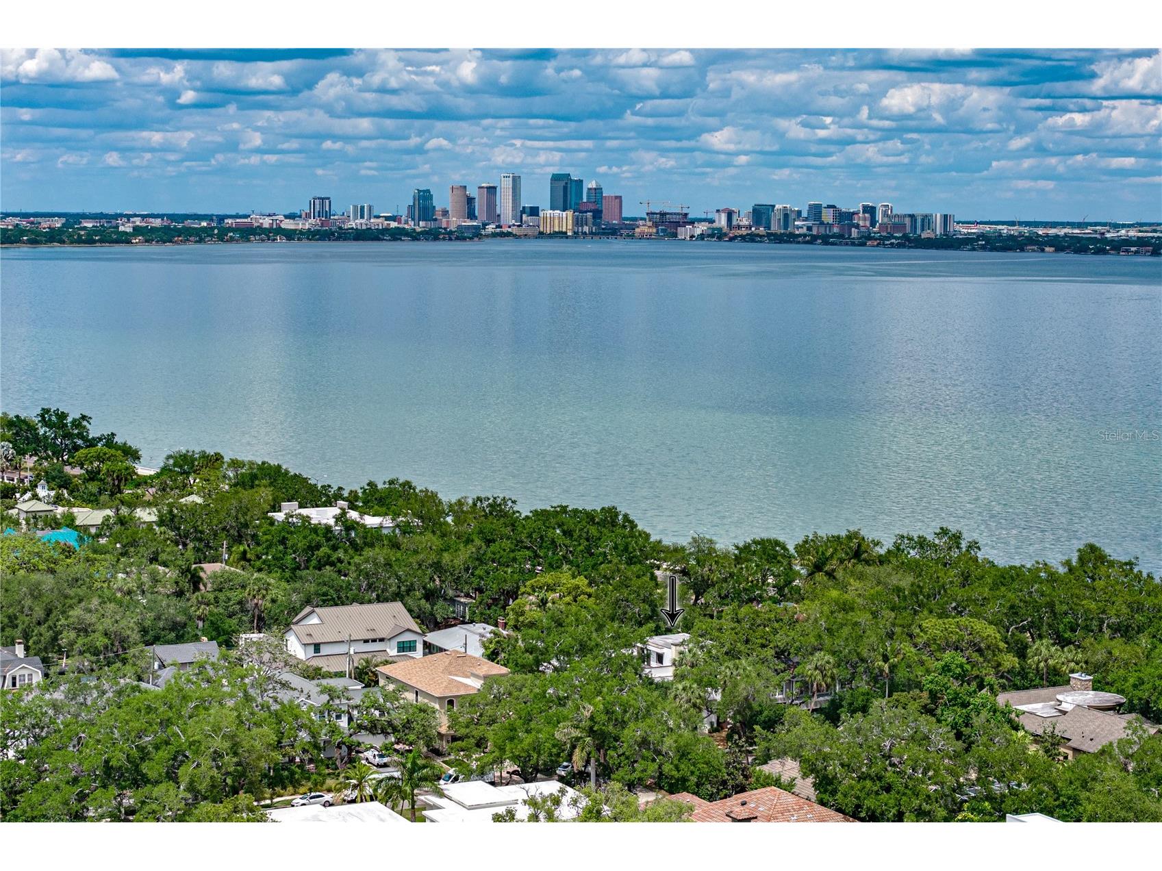 2903 W Hawthorne Road Tampa FL 33611 TB8505810 image92