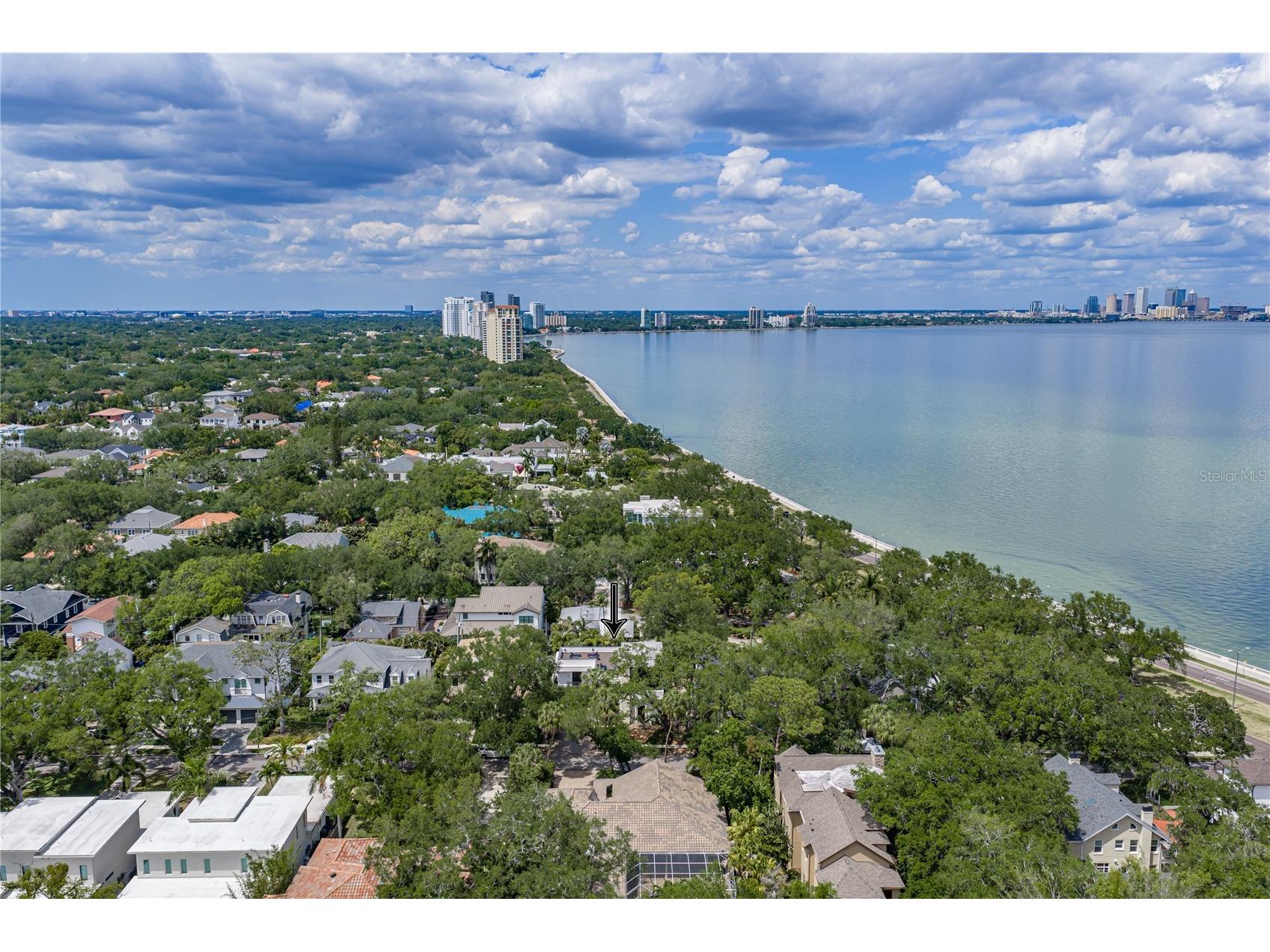 2903 W Hawthorne Road Tampa FL 33611 TB8505810 image93