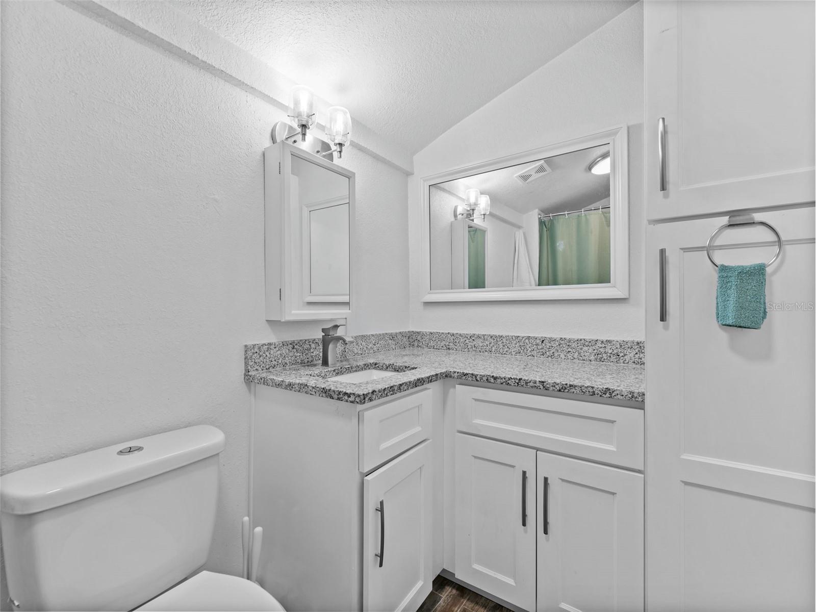 2903 W Ivy Street Tampa FL 33607 TB8499493 image16