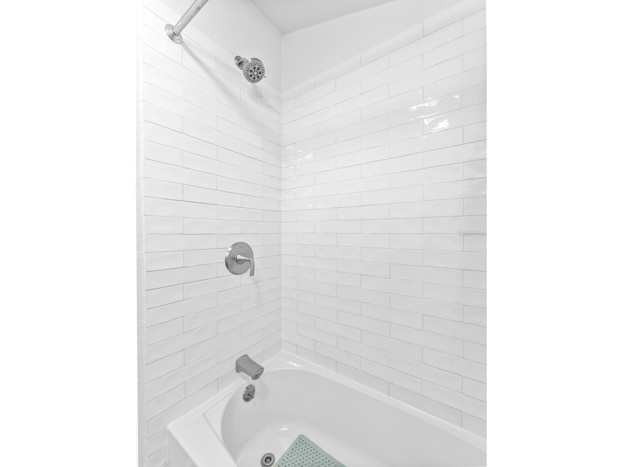 2903 W Ivy Street Tampa FL 33607 TB8499493 image17