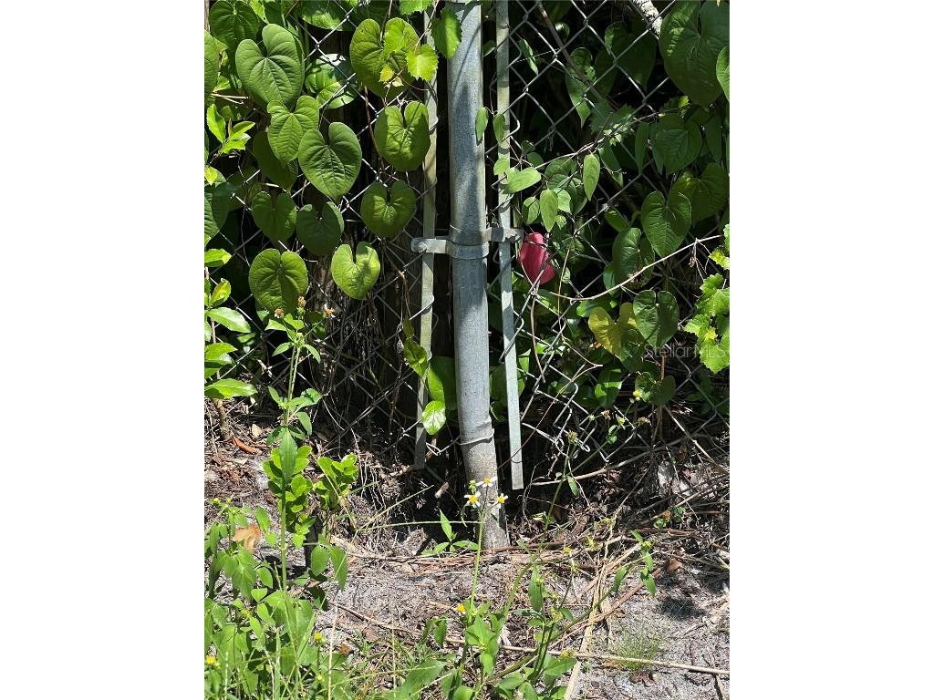 2903 Williams Boulevard Valrico FL 33596 TB8420479 image10