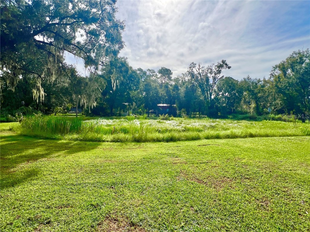 2903 Williams Boulevard Valrico FL 33596 TB8420479 image28