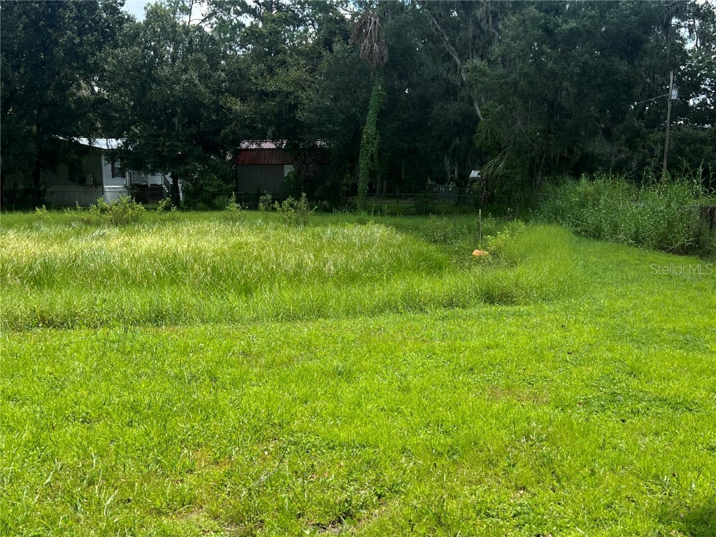 2903 Williams Boulevard Valrico FL 33596 TB8420479 image30