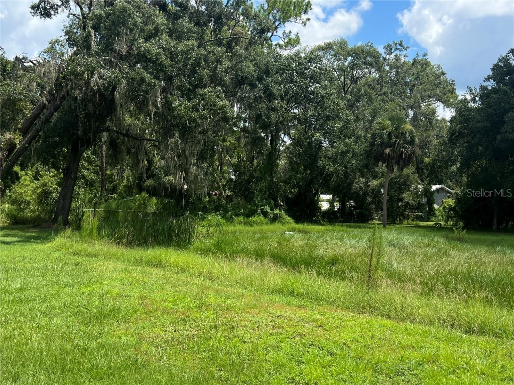 2903 Williams Boulevard Valrico FL 33596 TB8420479 image31