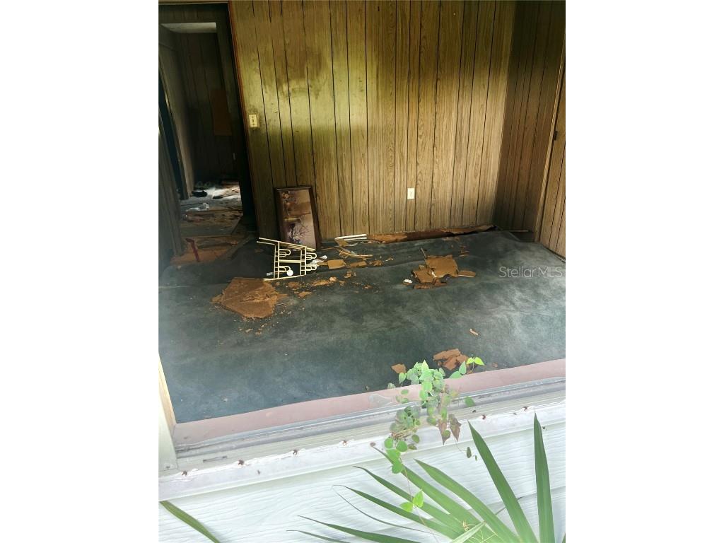 2903 Williams Boulevard Valrico FL 33596 TB8420479 image35