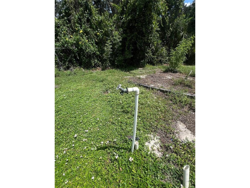 2903 Williams Boulevard Valrico FL 33596 TB8425280 image10