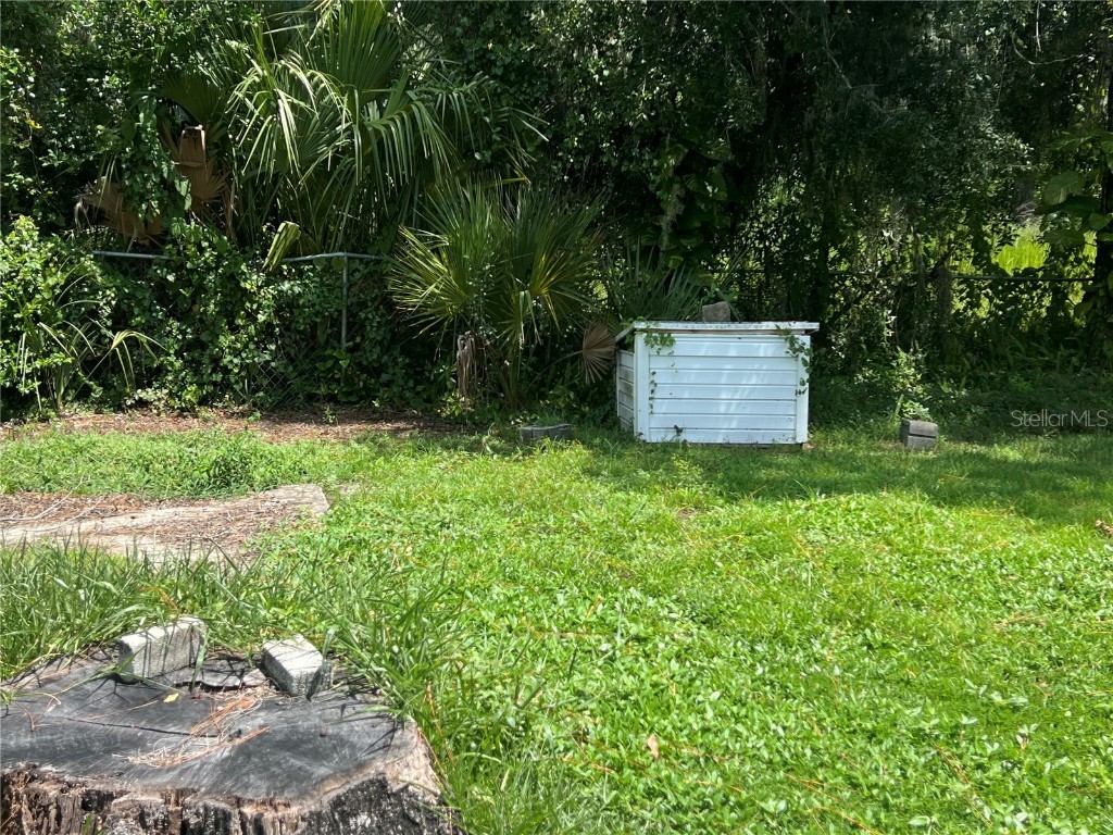 2903 Williams Boulevard Valrico FL 33596 TB8425280 image12