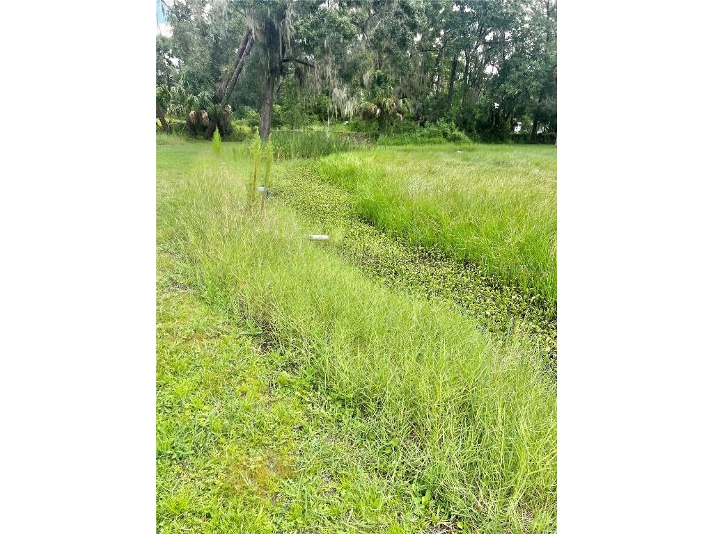 2903 Williams Boulevard Valrico FL 33596 TB8425280 image22