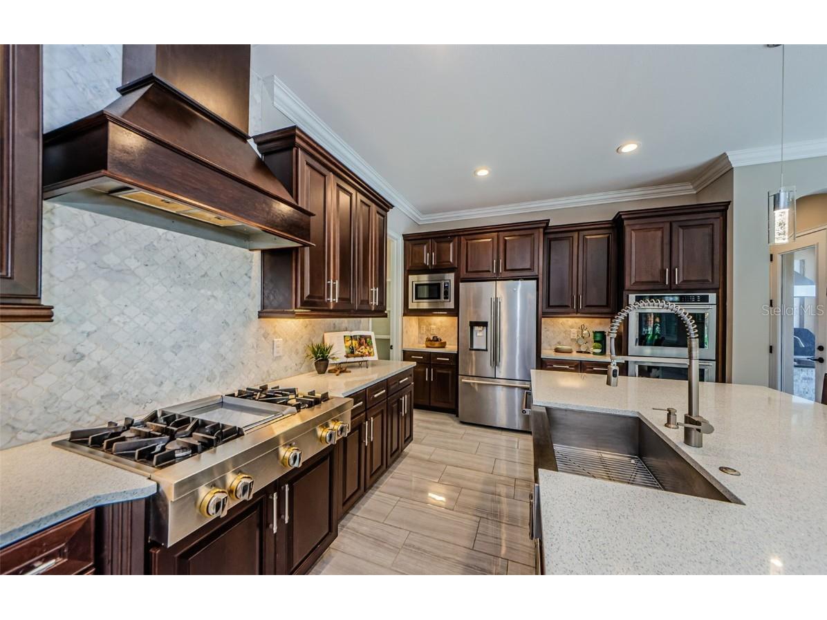 29038 Picana Lane Wesley Chapel FL 33543 TB8443537 image10